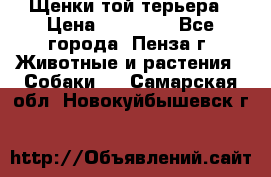 Щенки той терьера › Цена ­ 10 000 - Все города, Пенза г. Животные и растения » Собаки   . Самарская обл.,Новокуйбышевск г.